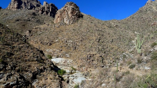 Sabino Canyon