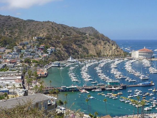 La baie d'Avalon Santa Catalina Island Californie