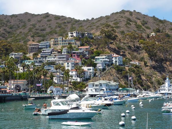 La baie d'Avalon Santa Catalina Island