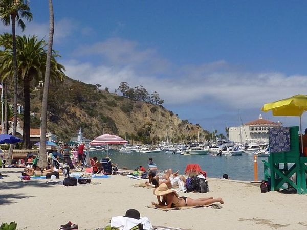 Plage Avalon Santa Catalina Island Californie