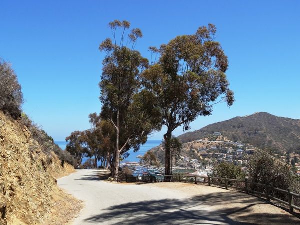 Scenic Drive Santa Catalina Island