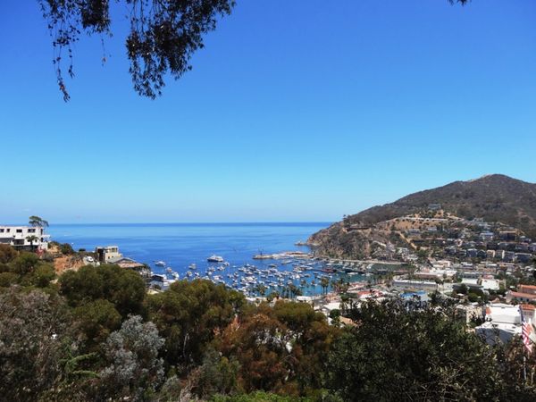 Vue depuis la Scenic Drive Santa Catalina Island