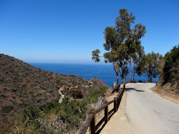 Sur la Scenic Drive Santa Catalina Island Californie