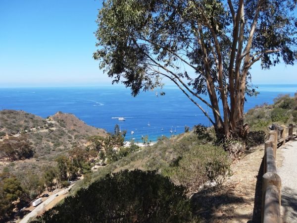 Scenic Drive Santa Catalina Island