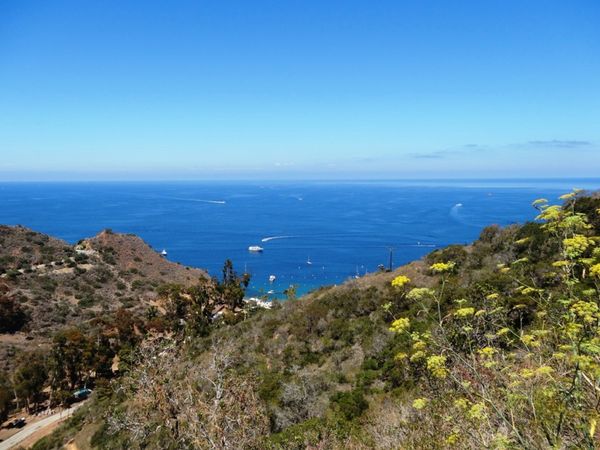 Vue depuis la Scenic Drive Santa Catalina Island