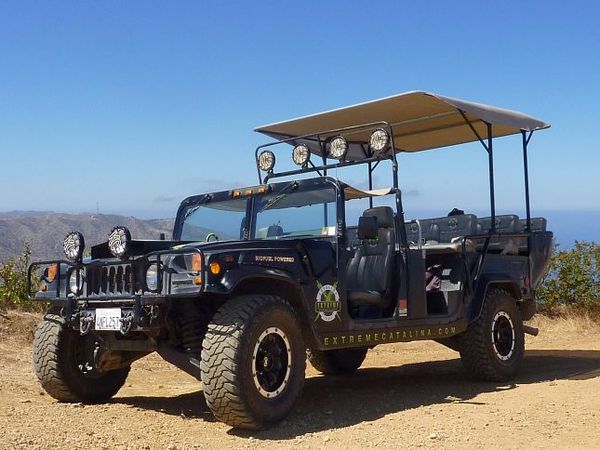 Découverte en 4x4 de Santa Catalina Island