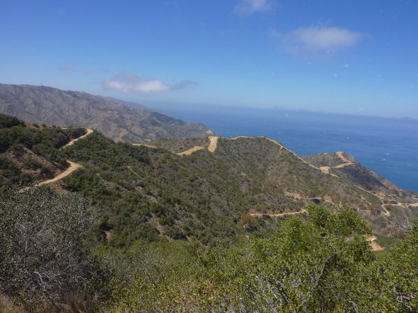 Territoire protégé de Santa Catalina Island Californie