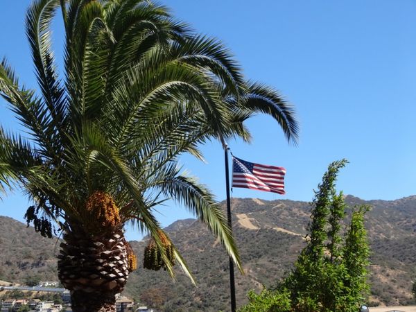 Santa Catalina Island CA