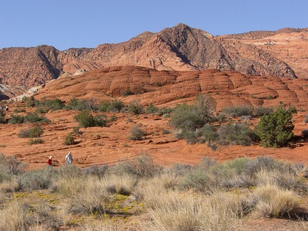 Petrified Dunes Trail Utah