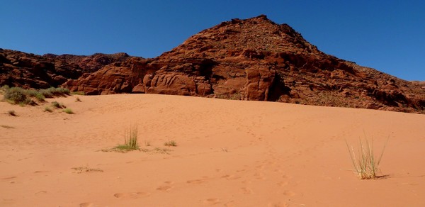 Sand Dunes Trail Utah