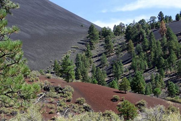 Painted Desert Vista Sunset Crater Volcano Arizona