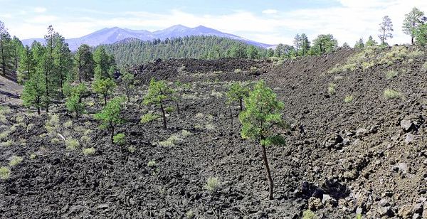 Lava Flow Trail Sunset Crater Volcano