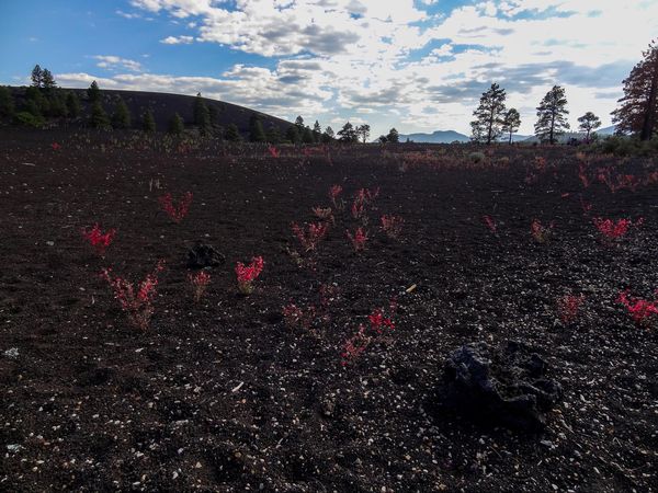 Lava Flow Trail Sunset Crater Volcano