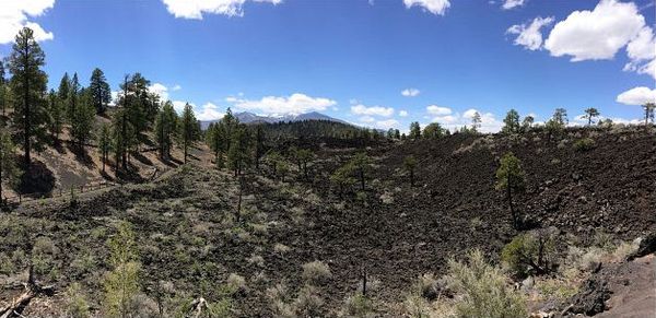 Lenox Crater Trail Sunset Crater Volcano Arizona