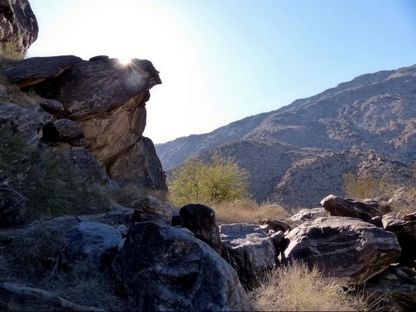 Tahquitz Canyon