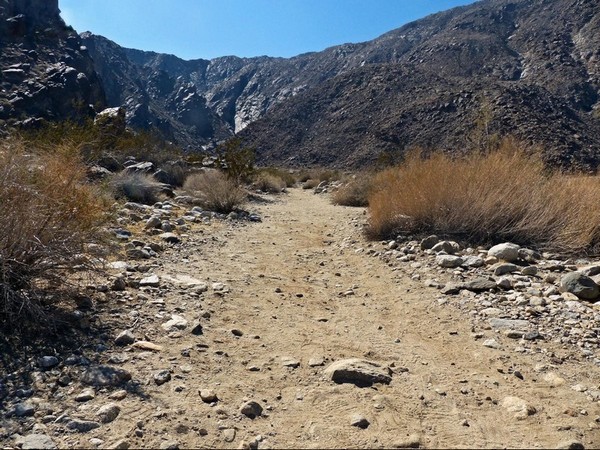 Départ du sentier Tahquitz Canyon