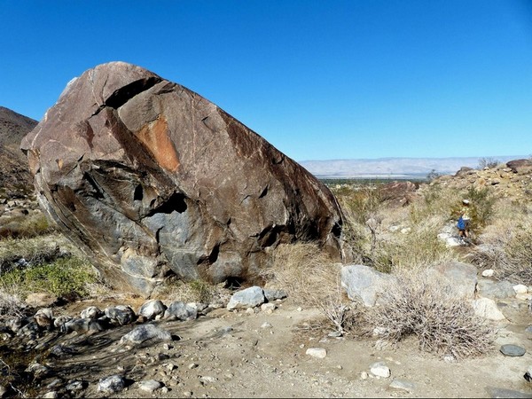 Mi as kalet (a grey top) Tahquitz Canyon