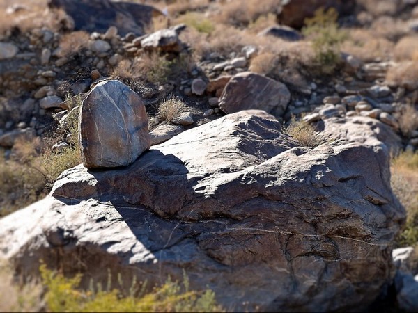 Cow is ic ela (the Fox's Dress) Tahquitz Canyon