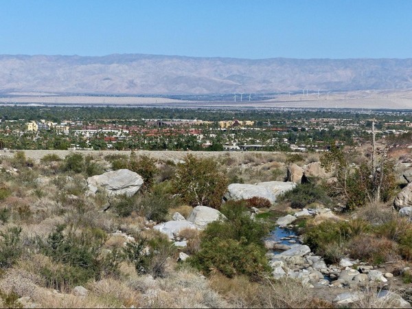 Tahquitz Canyon