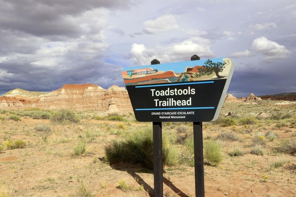 Panneau Toadstools Trailhead