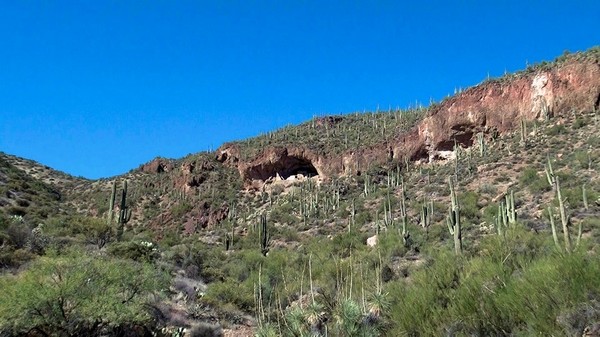 Vue sur le Lower Cliff Dwelling
