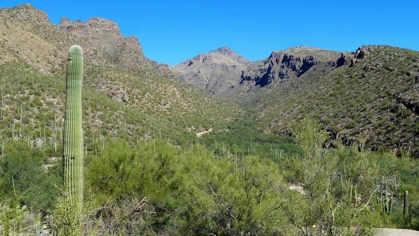 Sabino Canyon Recreational Area