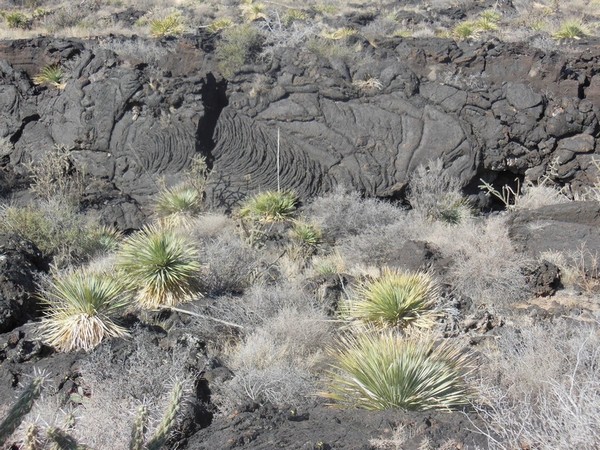 Pahoehoe lave