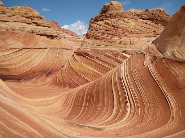Coyote Butte North - The Wave