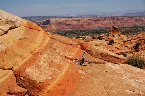 Coyote Buttes South Arizona