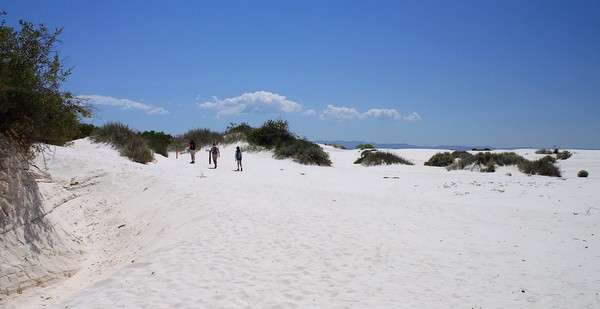 Dune Life Nature Trail White Sands