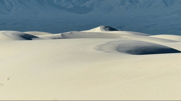 Dunes sculptées par le vent