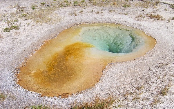 Belgian Pool Yellowstone