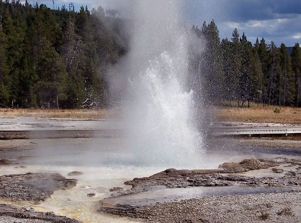 Geyser Yellowstone