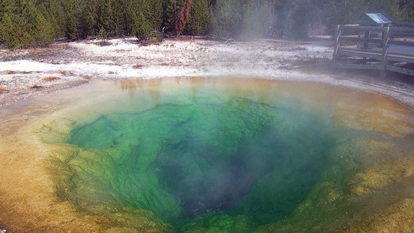Morning Glory Yellowstone