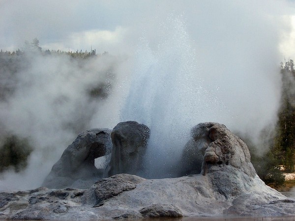 Grotto Geyser Yellowstone