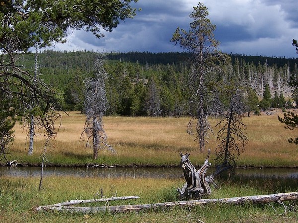 Le long de la Firehole River Yellowstone