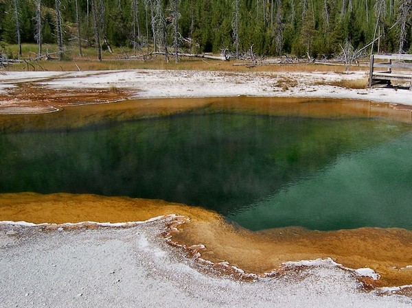 Emerald Pool Yellowstone