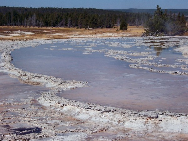 Great Fountain Geyser Yellowstone