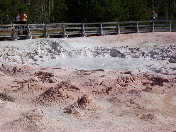 Un bassin de boue Yellowstone