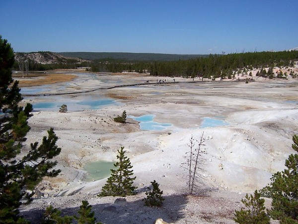 Norris Yellowstone