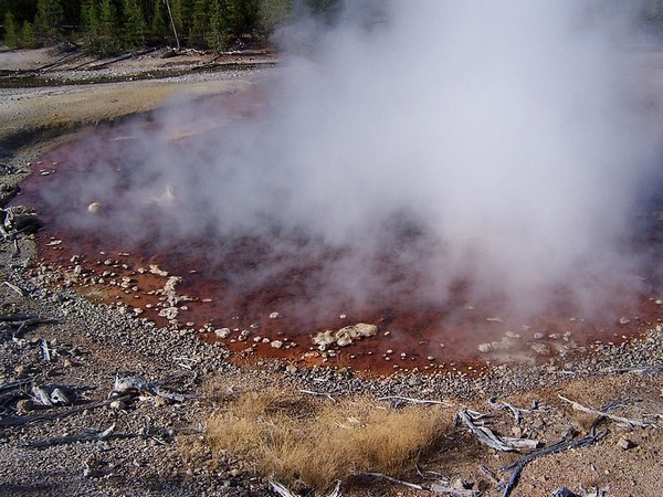 Echinus Geyser Yellowstone