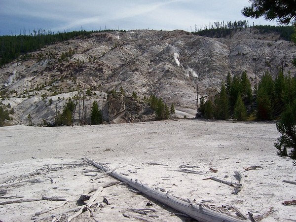 Roaring Mountain Yellowstone