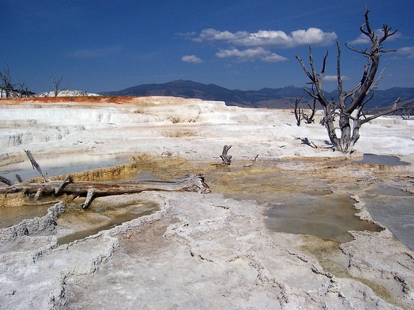 Mammoth Hot Springs - Lower Terraces Yellowstone