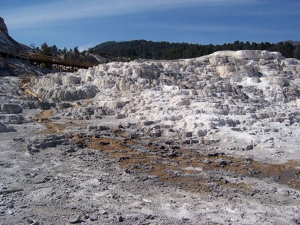 Minerva Terrace Yellowstone
