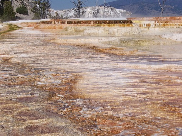 Main Terrace Yellowstone