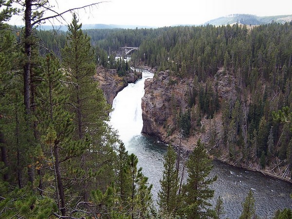 Upper Falls Viewpoint Yellowstone