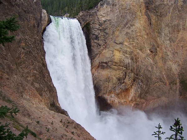Lower Falls Yellowstone