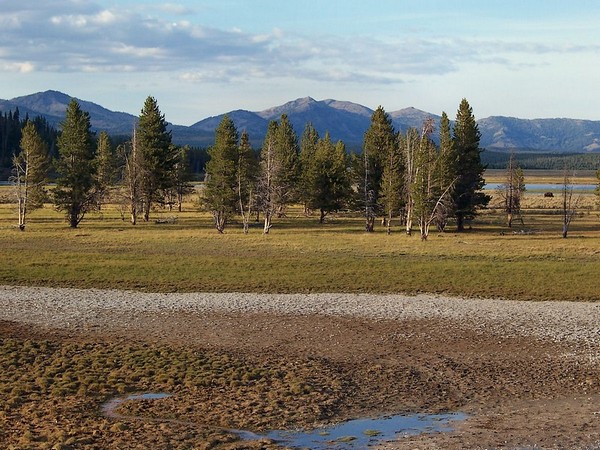 Hayden Valley Yellowstone