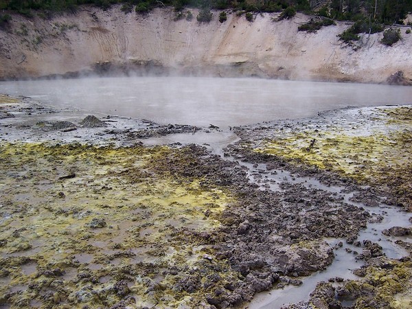 Grizzly Fumarole Yellowstone