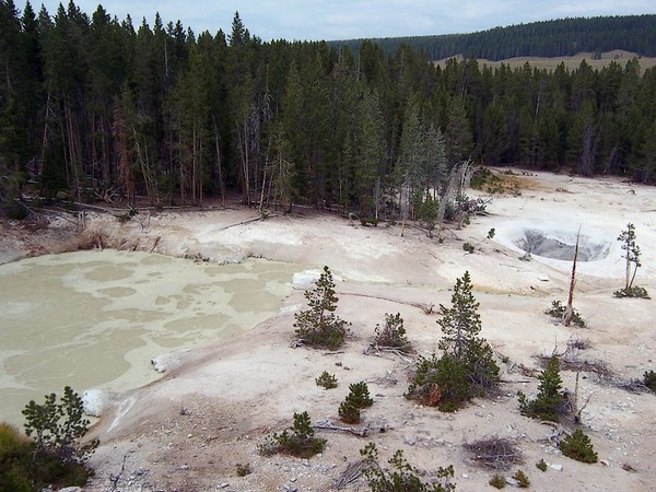 Sulfur Caldron Yellowstone